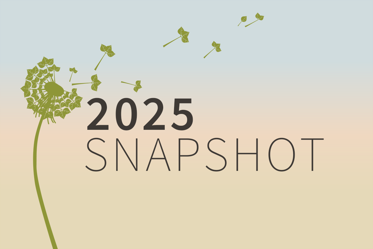 2025 Assets and Grantmaking Snapshot