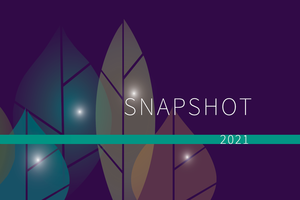 2021 Assets and Grantmaking Snapshot