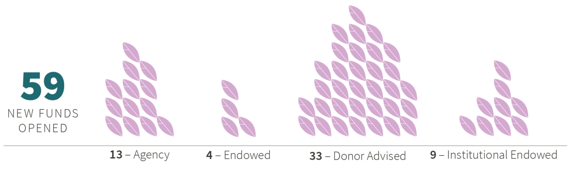 Breakdown of the 59 new funds opened in 2019.