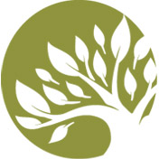 CCF Tree Icon