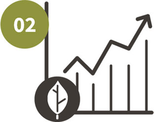 Step 2 - How a Donor Advised Fund Works