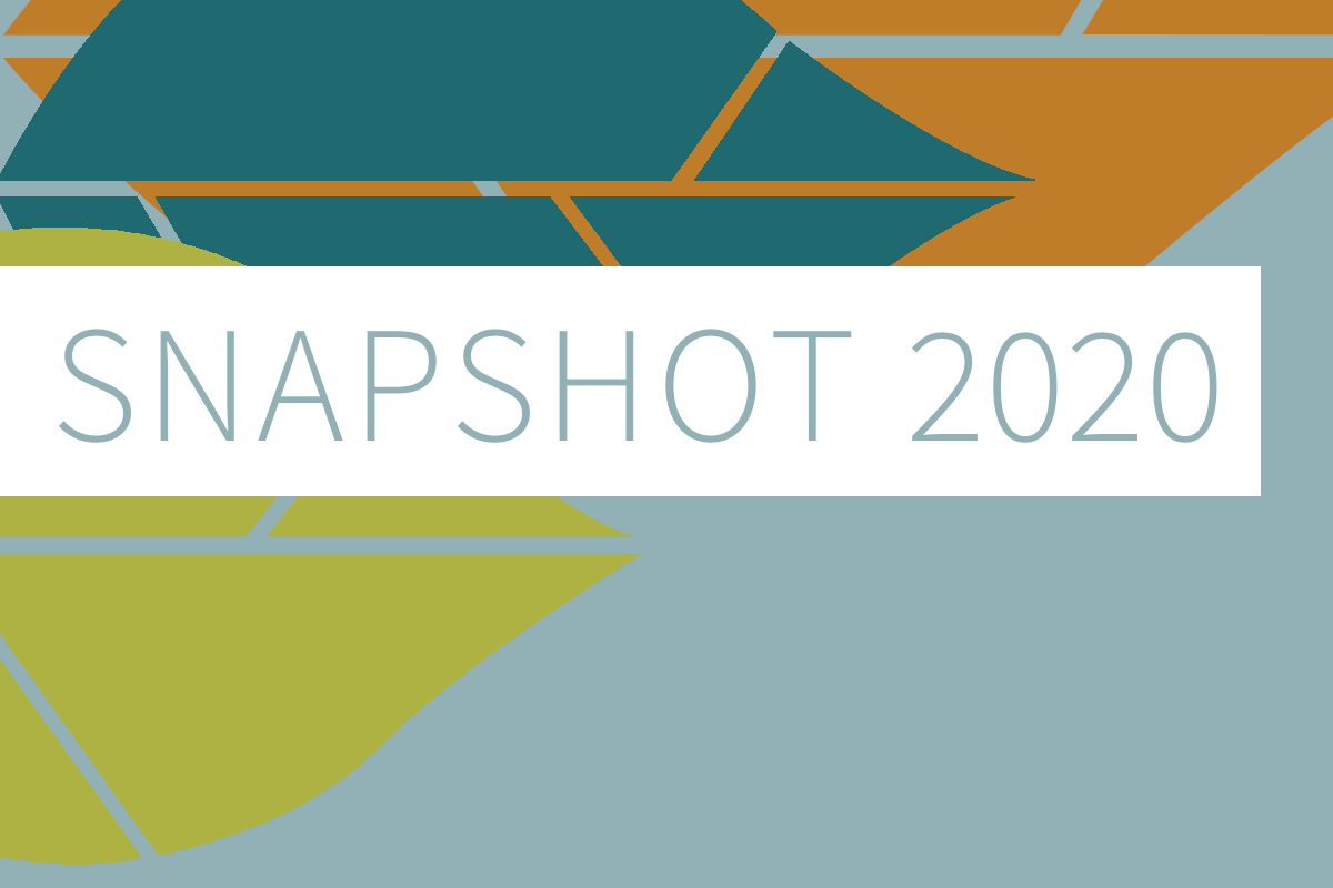 2020 Assets and Grantmaking Snapshot